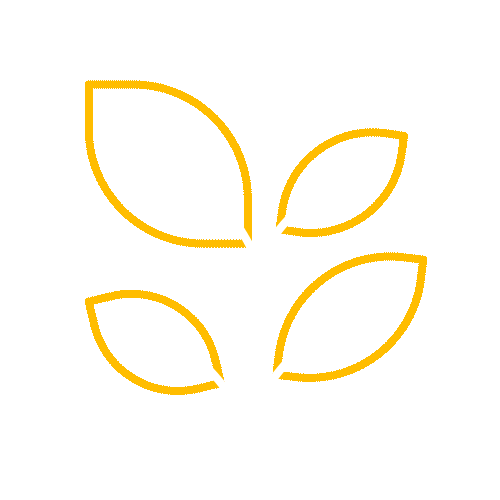 ענף עם עלים